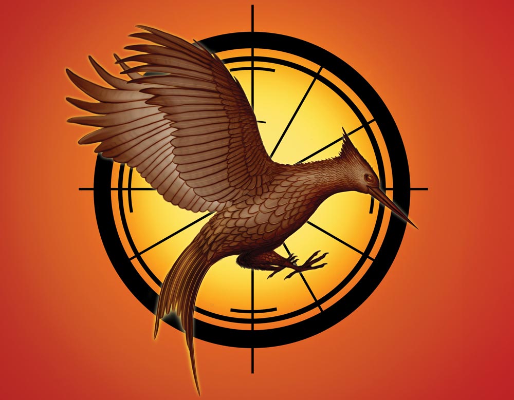 THE HUNGER GAMES CATCHING FIRE Begins Production FilmoFilia