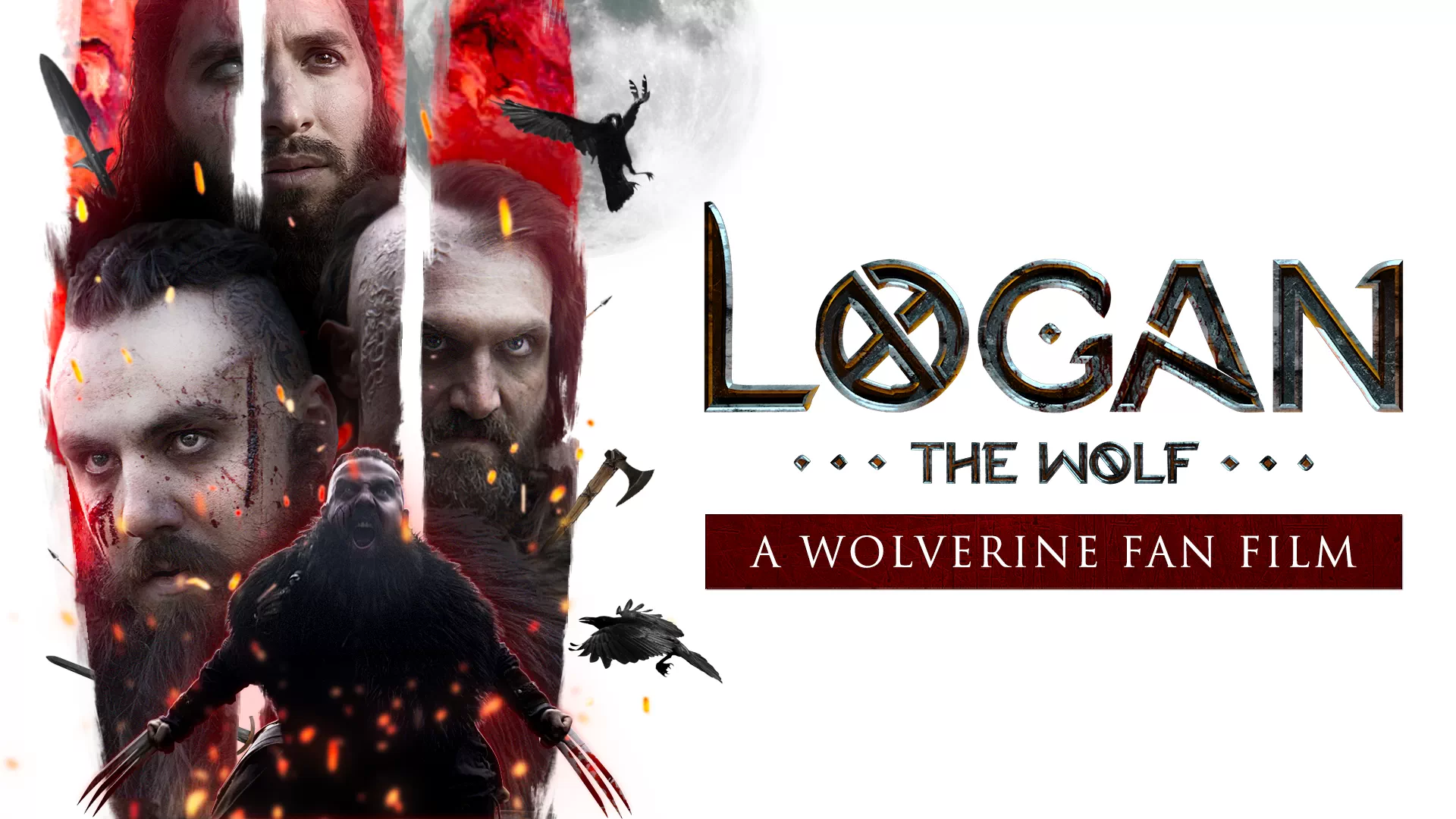 Logan the wolf