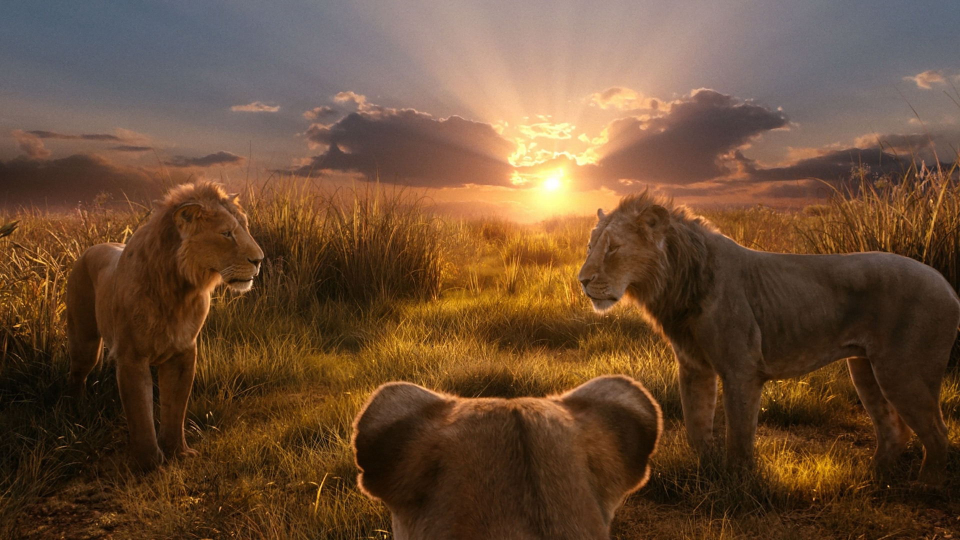 Does 'Mufasa The Lion King' Have a PostCredits Scene? Here's What You